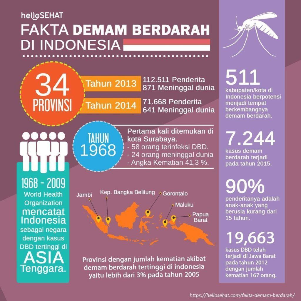 اندونیزیا میں ڈینگی بخار جہنم